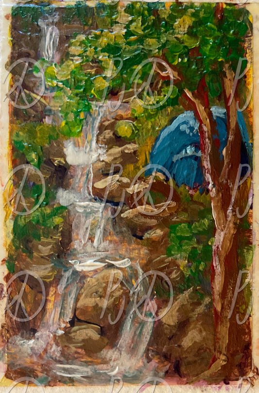 Camp and Falls